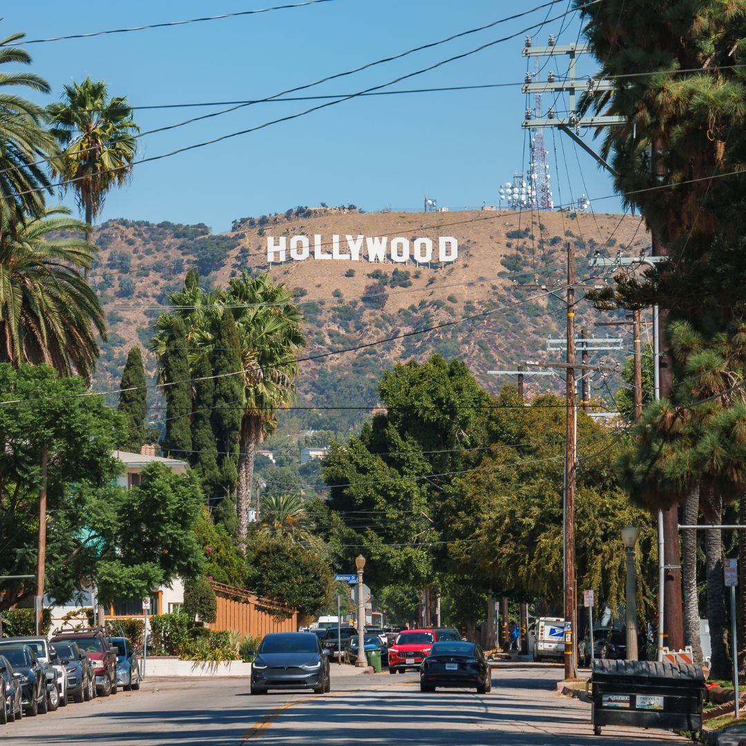 Palm tree-lined road leading to the Hollywood sign in Los Angeles, a popular private jet charter destination.